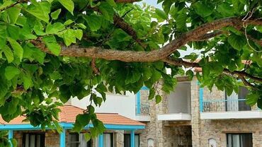 Ekinoks Hotel